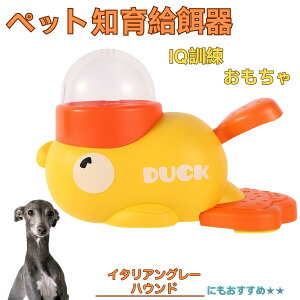 �C�^���A���O���[�n�E���h�� �C�^�O�� �A�q�� �m�狋�a�� �m��t�B�[�_�[ �m��ߋ� IQ�g�C �g���[�j���O �y�b�g�p���͂� ����� ���a �������� �a��� ���a�� �􂦂� ����� ���ԂԂ� ����