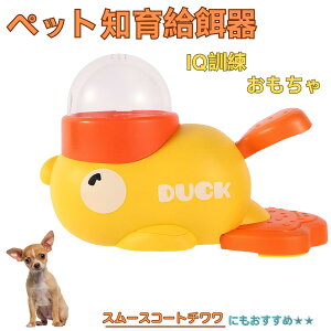 �y5�{�|�C���g�z�X���[�X�R�[�g�`������ �X���`�� �A�q�� �m�狋�a�� �m��t�B�[�_�[ �m��ߋ� IQ�g�C �g���[�j���O �y�b�g�p���͂� ����� ���a �������� �a��� ���a�� �􂦂� ����� ����