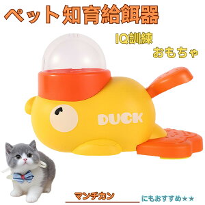 �}���`�J���L�� �}���` �A�q�� �m�狋�a�� �m��t�B�[�_�[ �m��ߋ� IQ�g�C �g���[�j���O �y�b�g�p���͂� ����� ���a �������� �a��� ���a�� �􂦂� ����� ���ԂԂ� �����ŗV�� �]�g�� 