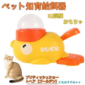 y5{|CgzueBbVV[gwAS[fL Aq m狋a mtB[_[ mߋ IQgC g[jO ybgp͂  a  a a 􂦂 