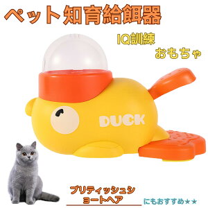 �u���e�B�b�V���V���[�g�w�A�L �u���V�� �A�q�� �m�狋�a�� �m��t�B�[�_�[ �m��ߋ� IQ�g�C �g���[�j���O �y�b�g�p���͂� ����� ���a �������� �a��� ���a�� �􂦂� ����� ���ԂԂ� ��