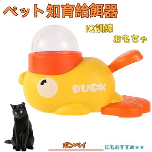 �{���x�C�L�� �{���x�C �A�q�� �m�狋�a�� �m��t�B�[�_�[ �m��ߋ� IQ�g�C �g���[�j���O �y�b�g�p���͂� ����� ���a �������� �a��� ���a�� �􂦂� ����� ���ԂԂ� �����ŗV�� �]�g�� 