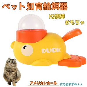 �A�����J���J�[���L �A���J�[�� �A�q�� �m�狋�a�� �m��t�B�[�_�[ �m��ߋ� IQ�g�C �g���[�j���O �y�b�g�p���͂� ����� ���a �������� �a��� ���a�� �􂦂� ����� ���ԂԂ� �����ŗV��