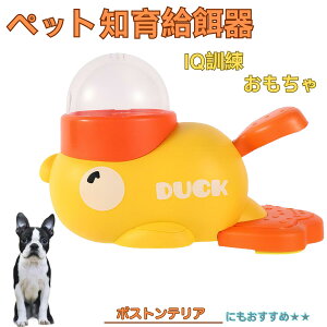 �{�X�g���e���A�� �{�X�g�� �A�q�� �m�狋�a�� �m��t�B�[�_�[ �m��ߋ� IQ�g�C �g���[�j���O �y�b�g�p���͂� ����� ���a �������� �a��� ���a�� �􂦂� ����� ���ԂԂ� �����ŗV�� �]