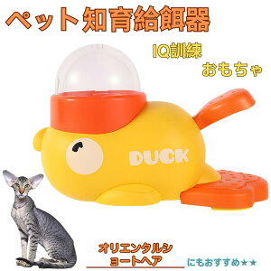 y5{|CgzIG^V[gwAL IV Aq m狋a mtB[_[ mߋ IQgC g[jO ybgp͂  a  a a 􂦂  