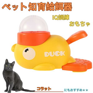 �y5�{�|�C���g�z�R���b�g�L�� �R���b�g �A�q�� �m�狋�a�� �m��t�B�[�_�[ �m��ߋ� IQ�g�C �g���[�j���O �y�b�g�p���͂� ����� ���a �������� �a��� ���a�� �􂦂� ����� ���ԂԂ� ��