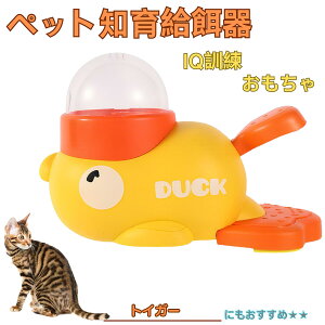 y5{|CgzgCK[L gCK[ Aq m狋a mtB[_[ mߋ IQgC g[jO ybgp͂  a  a a 􂦂  ԂԂ 