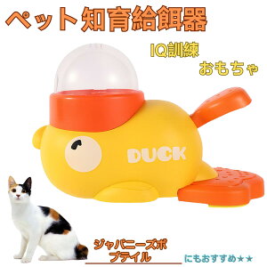 �W���p�j�[�Y�{�u�e�C���L �W���p�{�u �A�q�� �m�狋�a�� �m��t�B�[�_�[ �m��ߋ� IQ�g�C �g���[�j���O �y�b�g�p���͂� ����� ���a �������� �a��� ���a�� �􂦂� ����� ���ԂԂ� ����