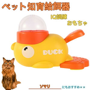 �\�}���L�� �\�}�� �A�q�� �m�狋�a�� �m��t�B�[�_�[ �m��ߋ� IQ�g�C �g���[�j���O �y�b�g�p���͂� ����� ���a �������� �a��� ���a�� �􂦂� ����� ���ԂԂ� �����ŗV�� �]�g�� �� �L