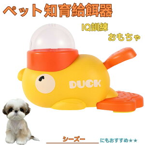 �V�[�Y�[���� �V�[�Y�[ �A�q�� �m�狋�a�� �m��t�B�[�_�[ �m��ߋ� IQ�g�C �g���[�j���O �y�b�g�p���͂� ����� ���a �������� �a��� ���a�� �􂦂� ����� ���ԂԂ� �����ŗV�� �]�g�� 