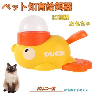 y5{|Cgzoj[YL oj[Y Aq m狋a mtB[_[ mߋ IQgC g[jO ybgp͂  a  a a 􂦂  ԂԂ