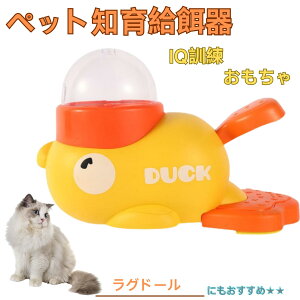 y5{|CgzOh[L O Aq m狋a mtB[_[ mߋ IQgC g[jO ybgp͂  a  a a 􂦂  ԂԂ 