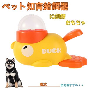 �Č��� �� �A�q�� �m�狋�a�� �m��t�B�[�_�[ �m��ߋ� IQ�g�C �g���[�j���O �y�b�g�p���͂� ����� ���a �������� �a��� ���a�� �􂦂� ����� ���ԂԂ� �����ŗV�� �]�g�� �� �L ���� ��