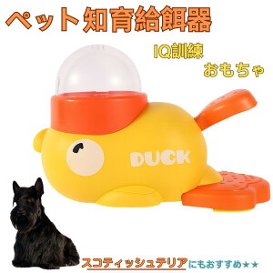 �y5�{�|�C���g�z�X�R�e�B�b�V���e���A�� �X�R�b�e�B �A�q�� �m�狋�a�� �m��t�B�[�_�[ �m��ߋ� IQ�g�C �g���[�j���O �y�b�g�p���͂� ����� ���a �������� �a��� ���a�� �􂦂� ����� ��