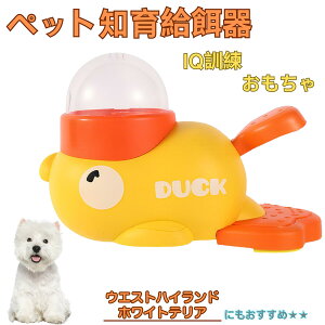 �y5�{�|�C���g�z�E�G�X�g�n�C�����h�z���C�g�e���A�� �A�q�� �m�狋�a�� �m��t�B�[�_�[ �m��ߋ� IQ�g�C �g���[�j���O �y�b�g�p���͂� ����� ���a �������� �a��� ���a�� �􂦂� ����� 