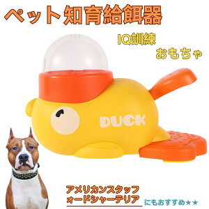 �A�����J���X�^�b�t�H�[�h�V���[�e���A�� �A�q�� �m�狋�a�� �m��t�B�[�_�[ �m��ߋ� IQ�g�C �g���[�j���O �y�b�g�p���͂� ����� ���a �������� �a��� ���a�� �􂦂� ����� ���ԂԂ� 