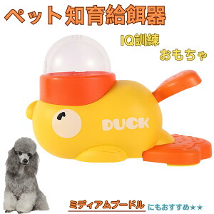 �~�f�B�A���v�[�h���� �~�f�B�A���v�[ �A�q�� �m�狋�a�� �m��t�B�[�_�[ �m��ߋ� IQ�g�C �g���[�j���O �y�b�g�p���͂� ����� ���a �������� �a��� ���a�� �􂦂� ����� ���ԂԂ� ����