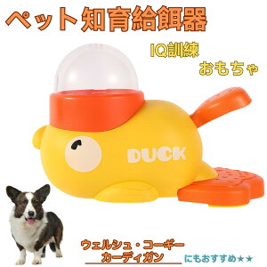 �y5�{�|�C���g�z�E�F���V���R�[�M�[�J�[�f�B�K���� �A�q�� �m�狋�a�� �m��t�B�[�_�[ �m��ߋ� IQ�g�C �g���[�j���O �y�b�g�p���͂� ����� ���a �������� �a��� ���a�� �􂦂� ����� ��