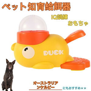 �y5�{�|�C���g�z�I�[�X�g�����A���P���s�[�� �P���s�[ �A�q�� �m�狋�a�� �m��t�B�[�_�[ �m��ߋ� IQ�g�C �g���[�j���O �y�b�g�p���͂� ����� ���a �������� �a��� ���a�� �􂦂� ����� 