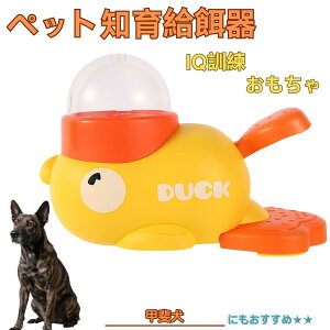 �y5�{�|�C���g�z�b�㌢�� �b�� �A�q�� �m�狋�a�� �m��t�B�[�_�[ �m��ߋ� IQ�g�C �g���[�j���O �y�b�g�p���͂� ����� ���a �������� �a��� ���a�� �􂦂� ����� ���ԂԂ� �����ŗV�� 