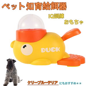 �P���[�u���[�e���A�� �P���[�u���[ �A�q�� �m�狋�a�� �m��t�B�[�_�[ �m��ߋ� IQ�g�C �g���[�j���O �y�b�g�p���͂� ����� ���a �������� �a��� ���a�� �􂦂� ����� ���ԂԂ� ������