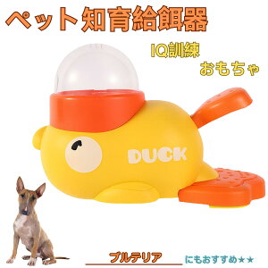 �y5�{�|�C���g�z�~�j�`���A�u���e���A�� �~�j�u�� �A�q�� �m�狋�a�� �m��t�B�[�_�[ �m��ߋ� IQ�g�C �g���[�j���O �y�b�g�p���͂� ����� ���a �������� �a��� ���a�� �􂦂� ����� ����