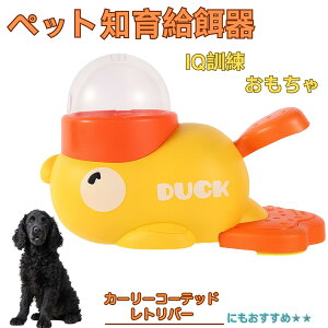 �y5�{�|�C���g�z�J�[���[�R�[�e�b�h���g���o�[�� �J�[���[���g���o�[ �A�q�� �m�狋�a�� �m��t�B�[�_�[ �m��ߋ� IQ�g�C �g���[�j���O �y�b�g�p���͂� ����� ���a �������� �a��� ���a��