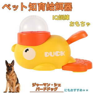 �y5�{�|�C���g�z�W���[�}���V�F�p�[�h�h�b�O�� �V�F�p�[�h �A�q�� �m�狋�a�� �m��t�B�[�_�[ �m��ߋ� IQ�g�C �g���[�j���O �y�b�g�p���͂� ����� ���a �������� �a��� ���a�� �􂦂� ��