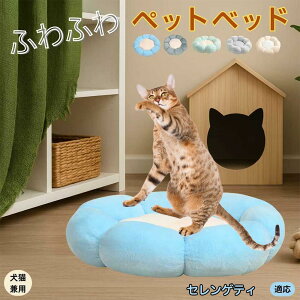 y10{|CgzZQeBL ZQeB ybgxbh Ԍ^  L p 􂦂 ېOK ӂӂ  g ׂ~  v y p q  tďH~ 