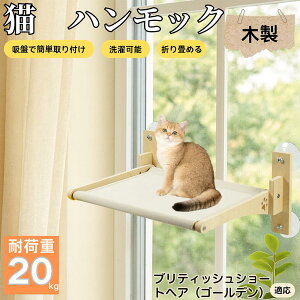 y5{|CgzueBbVV[gwAS[fL Lp zՃnbN ؐt[ ݂艺xbh Ӄxbh p zՌŒ ω׏d20kg ܂肽 ȃXy[X CeAɓ