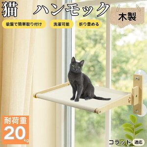 y5{|CgzRbgL Rbg Lp zՃnbN ؐt[ ݂艺xbh Ӄxbh p zՌŒ ω׏d20kg ܂肽 ȃXy[X CeAɓ ڂ 