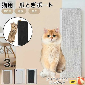 【10倍ポイント】ブリティッシュロングヘア猫 ブリロン 壁掛け&床置き両用 猫用爪とぎボード 両面使用 コーナー保護 耐久タイプ 爪とぎマット ダンボール 段ボール 縦型 おしゃれ ストレ