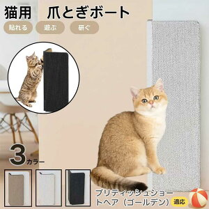 【10倍ポイント】ブリティッシュショートヘアゴールデン猫 壁掛け&床置き両用 猫用爪とぎボード 両面使用 コーナー保護 耐久タイプ 爪とぎマット ダンボール 段ボール 縦型 おしゃれ スト
