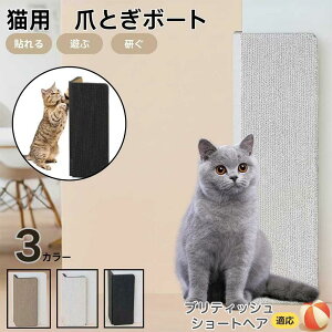 【10倍ポイント】ブリティッシュショートヘア猫 ブリショ 壁掛け&床置き両用 猫用爪とぎボード 両面使用 コーナー保護 耐久タイプ 爪とぎマット ダンボール 段ボール 縦型 おしゃれ スト