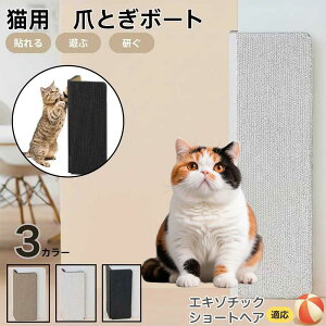【10倍ポイント】エキゾチックショートヘア猫 エキゾ 壁掛け&床置き両用 猫用爪とぎボード 両面使用 コーナー保護 耐久タイプ 爪とぎマット ダンボール 段ボール 縦型 おしゃれ ストレス