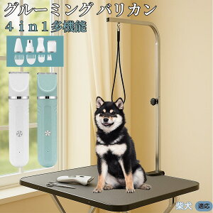 y5{|CgzČ  4in1 ybgoJ LΉ [d R[hX ېOK É y SҌ g~O g}[Zbg SgPA U ֐n Z~bNn USB[d O