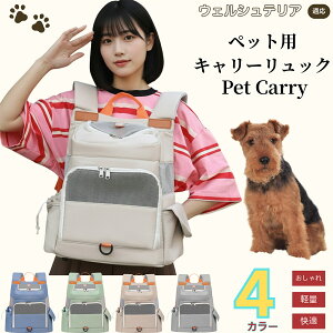 y5{|CgzEFVeA EFVybgL[ bN ʋCbV yʐ݌v ^ Lp яoh~oht ܂肽ݎ[ h  @\ [|Pbgt