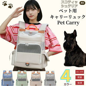 y5{|CgzXReBbVeA XRbeBybgL[ bN ʋCbV yʐ݌v ^ Lp яoh~oht ܂肽ݎ[ h  @\ [|Pb