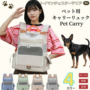 y5{|CgzgC}`FX^[eA gC}`FybgL[ bN ʋCbV yʐ݌v ^ Lp яoh~oht ܂肽ݎ[ h  @\ [