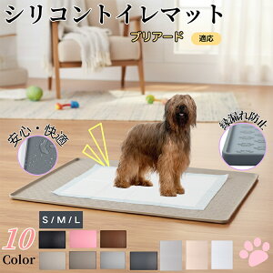 y5{|CgzuA[h uA[hybggC}bg VR h ~ 􂦂  L ^p ybgV[gh~ t[Oی ΍ LPA 