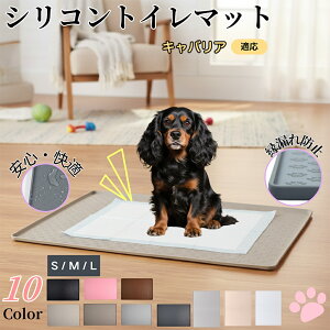 y5{|CgzLoALO`[YXpjGybggC}bg VR h ~ 􂦂  L ^p ybgV[gh~ t[Oی ΍ L