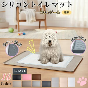 y5{|CgzRh[ Rh[ybggC}bg VR h ~ 􂦂  L ^p ybgV[gh~ t[Oی ΍ LPA 