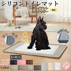 WCAgViEU[ WCAgViybggC}bg VR h ~ 􂦂  L ^p ybgV[gh~ t[Oی ΍ LPA 