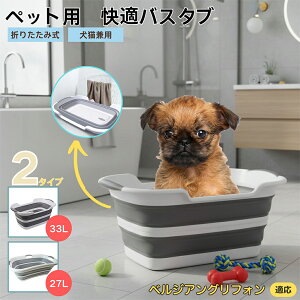 xWAOtH xM[Oybgp܂肽݃oX^u RpNg[ t L  ^   Vv[ C pr炢 y ^ѕ֗ v h