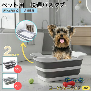 [NV[eA [L[ybgp܂肽݃oX^u RpNg[ t L  ^   Vv[ C pr炢 y ^ѕ֗ v h[o