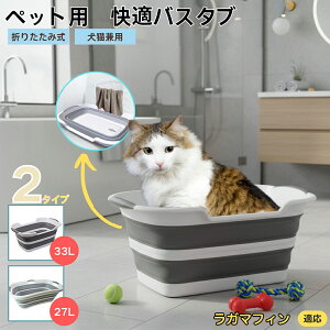 K}tBL K}tBybgp܂肽݃oX^u RpNg[ t L  ^   Vv[ C pr炢 y ^ѕ֗ v h[oP