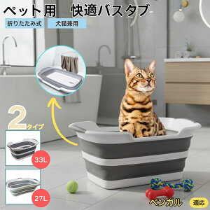 xKL xKybgp܂肽݃oX^u RpNg[ t L  ^   Vv[ C pr炢 y ^ѕ֗ v h[oPcp 