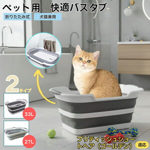 ueBbVV[gwAS[fLybgp܂肽݃oX^u RpNg[ t L  ^   Vv[ C pr炢 y ^ѕ֗ v 