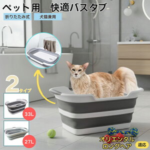 IG^OwAL Iybgp܂肽݃oX^u RpNg[ t L  ^   Vv[ C pr炢 y ^ѕ֗ v h