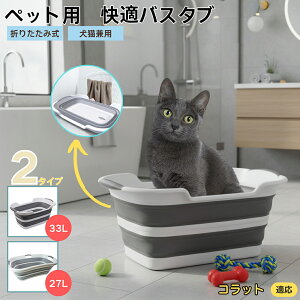 RbgL Rbgybgp܂肽݃oX^u RpNg[ t L  ^   Vv[ C pr炢 y ^ѕ֗ v h[oPcp 